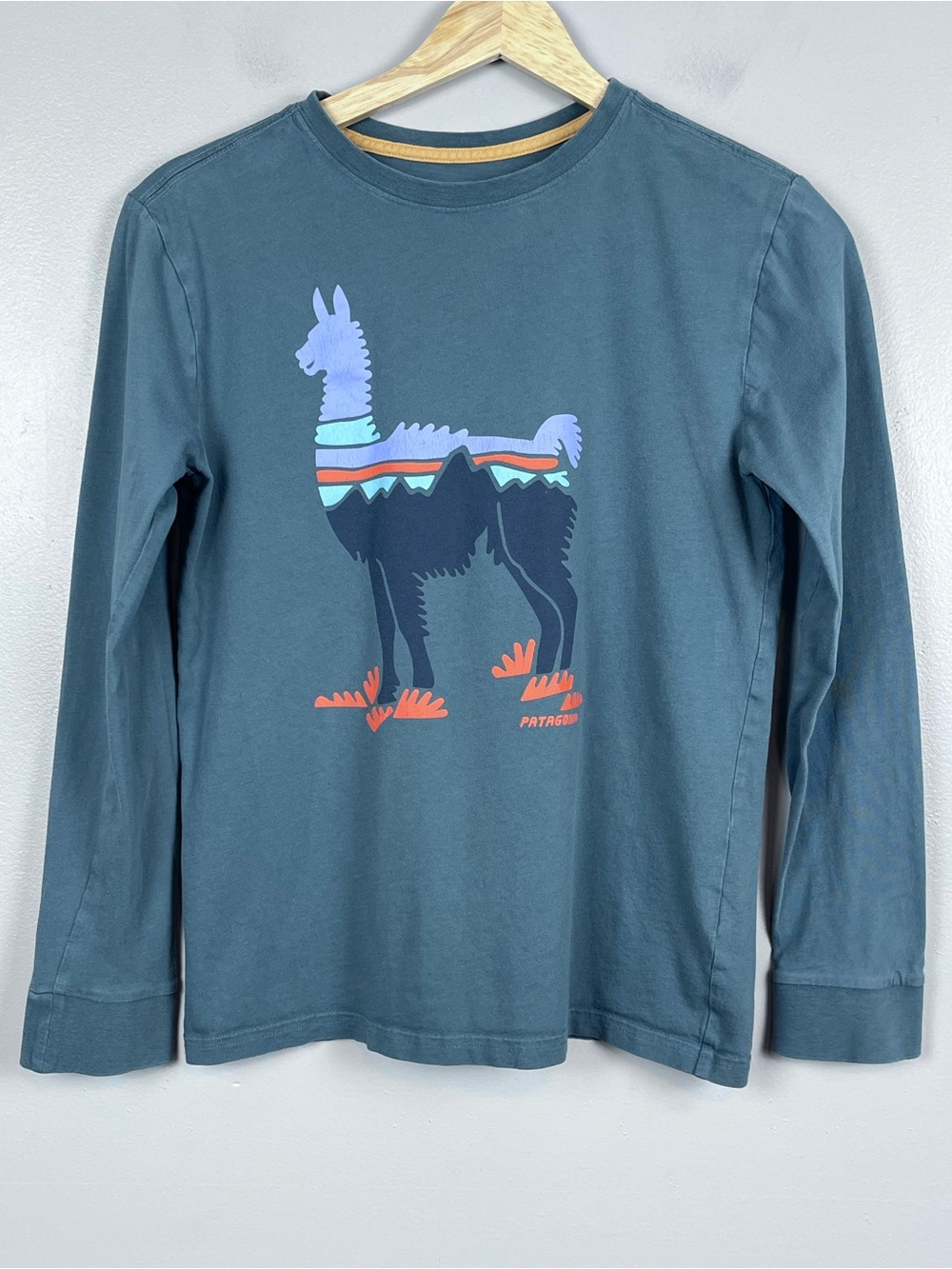 Patagonia Boy's 100% Organic Cotton LLama Graphic Print Long Sleeve Tee Size L